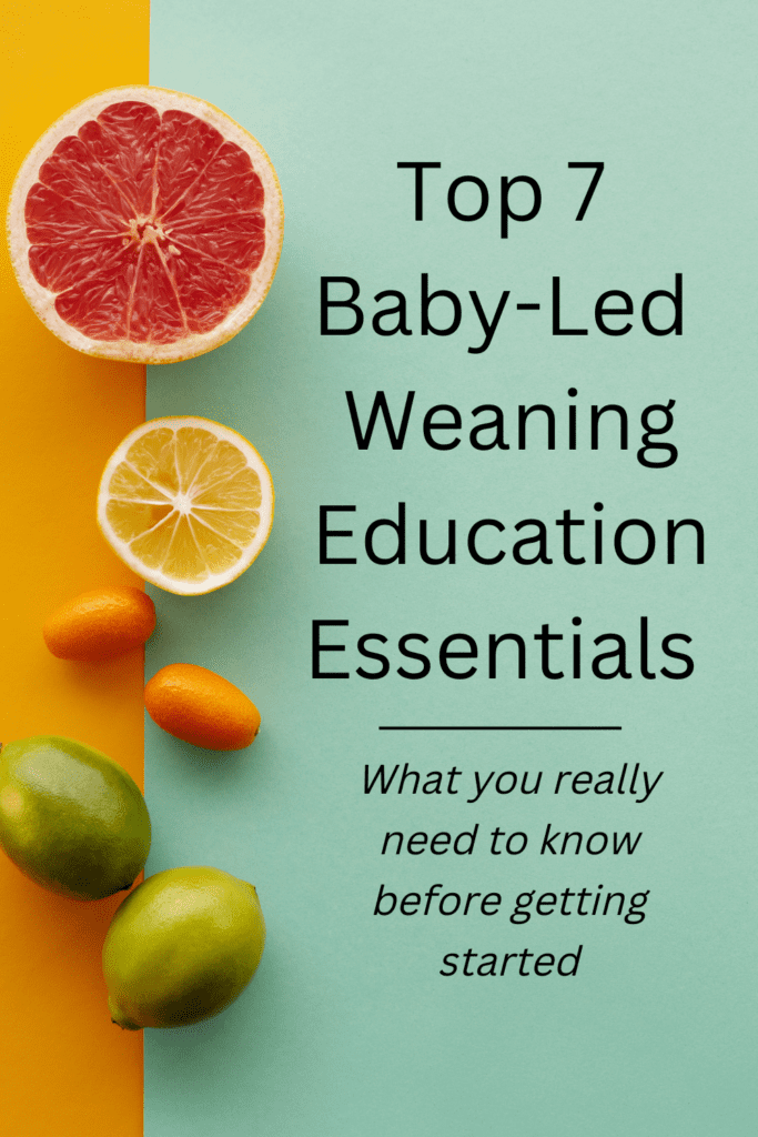 Top 7 BLW Essentials