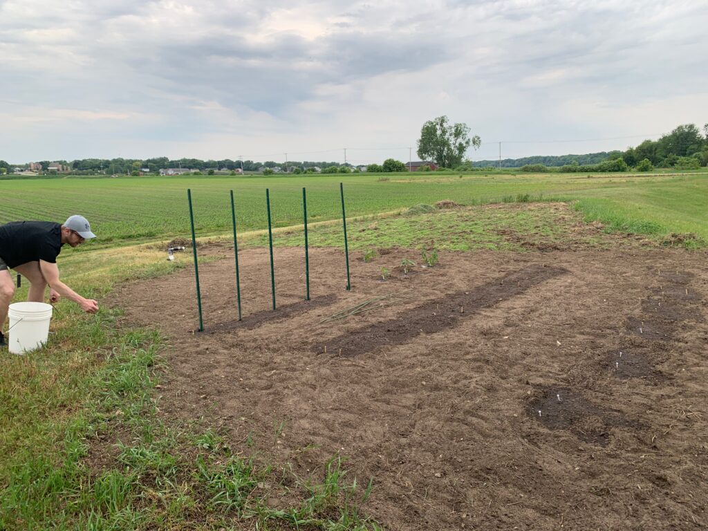 Plowed Garden