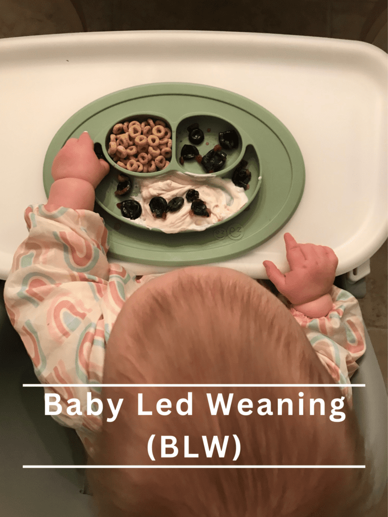 Baby Led Weaning (BLW)