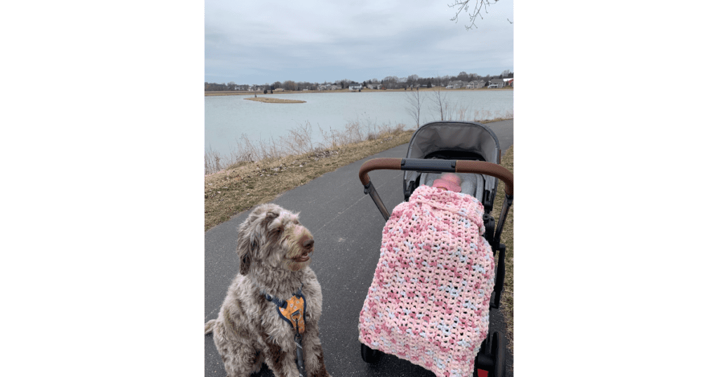 Dog by a lake and baby in a stroller with pink blanket covering lap.