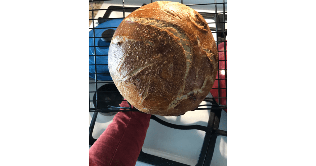 Sourdough bread in front of la crest and stove top. Red shirt