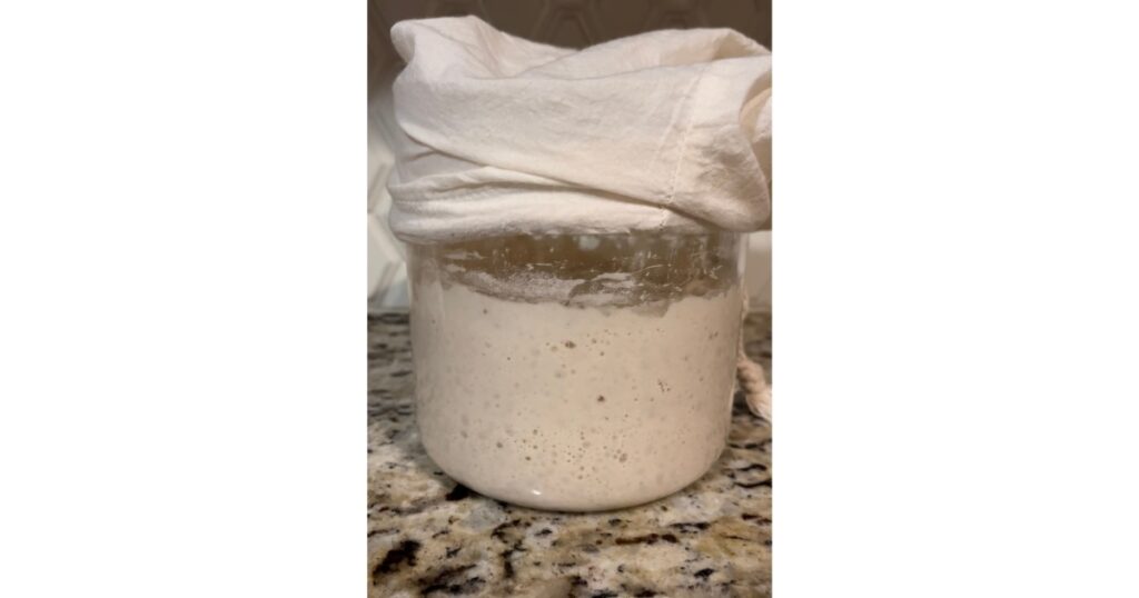 Sourdough starter in a glass jar with a bag over top. Glass jar sitting on marble counter.