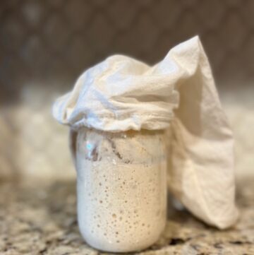 Sourdough starter countertop