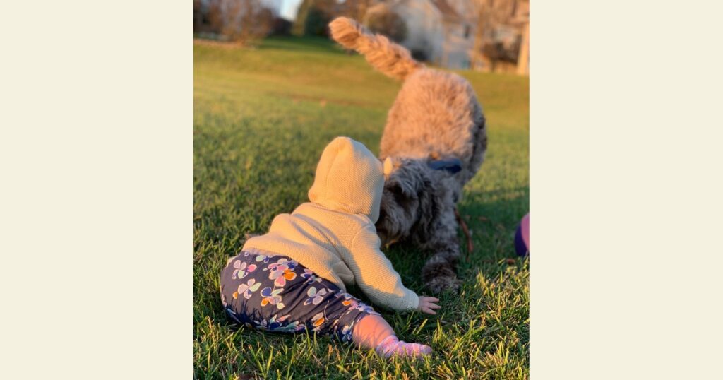 Dog and toddler nose to nose outside