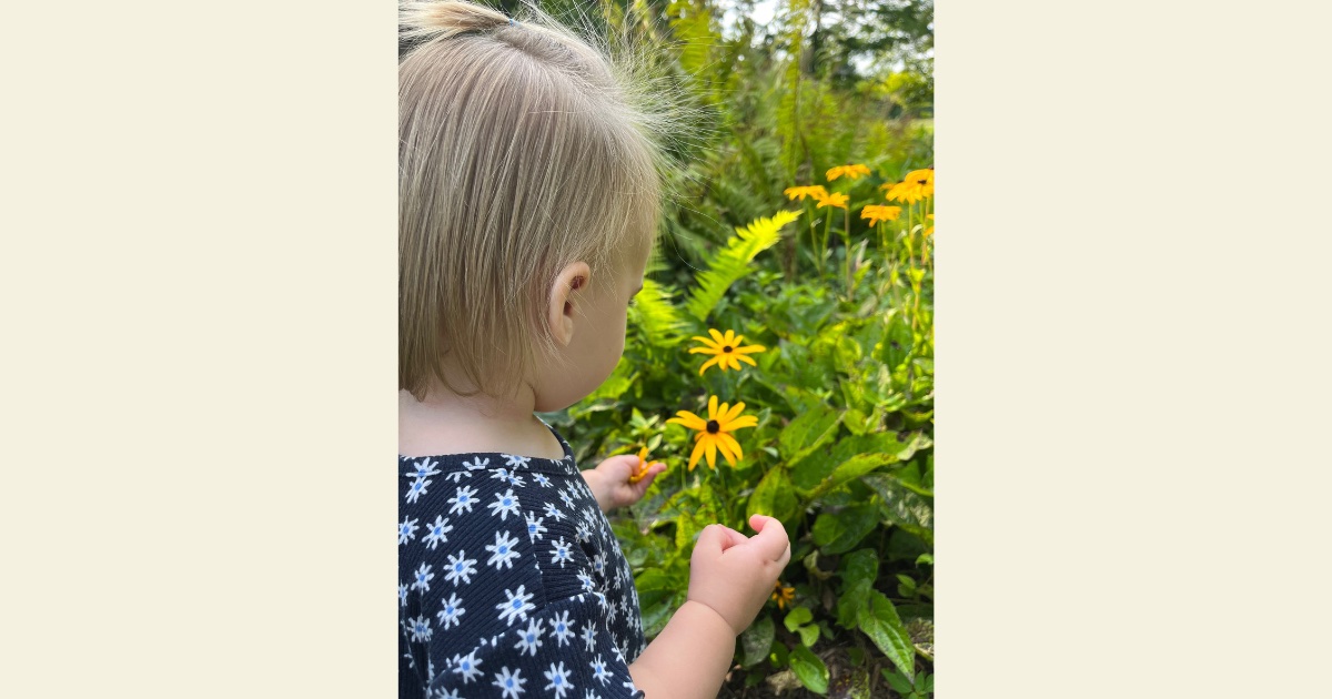 Blonde hair girl in a navy flower shirt picking yellow black eyed susan flowers.