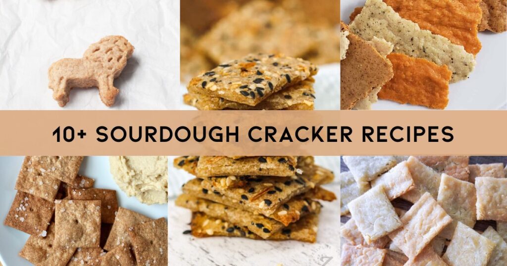 6 types of sourdough crackers