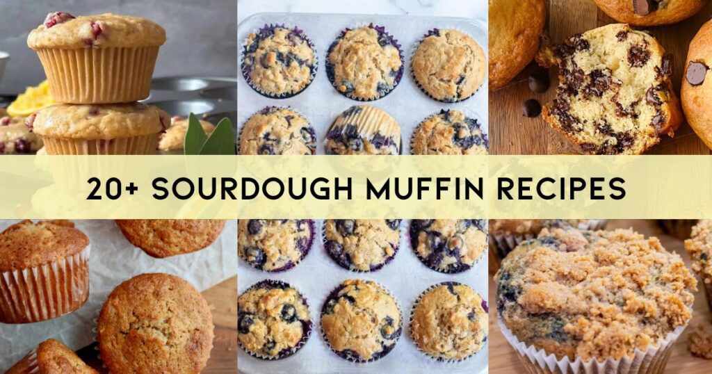 Sourdough Muffin recipes