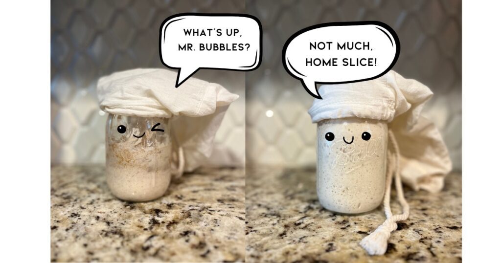 Two sourdough starters with expressions talking to each other - Pinterest