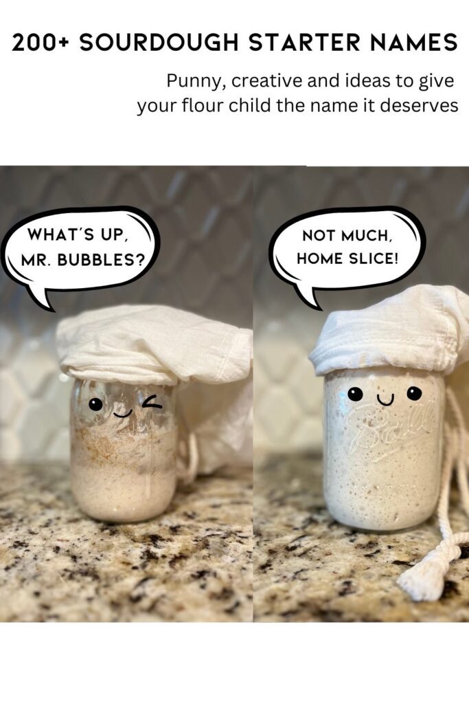 Two sourdough starters with eyes talking to each other - Pinterest