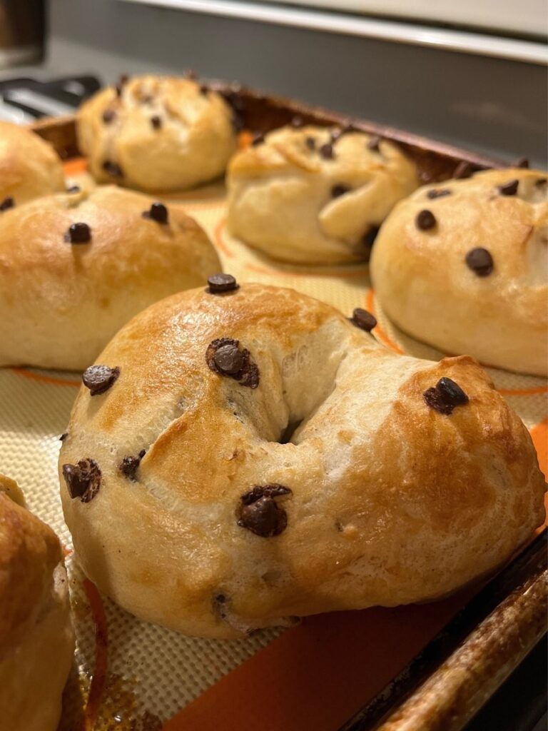 chocolate chip sourdough bagels - 1