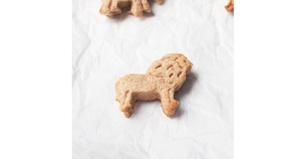 sourdough animal cracker shaped like a lion