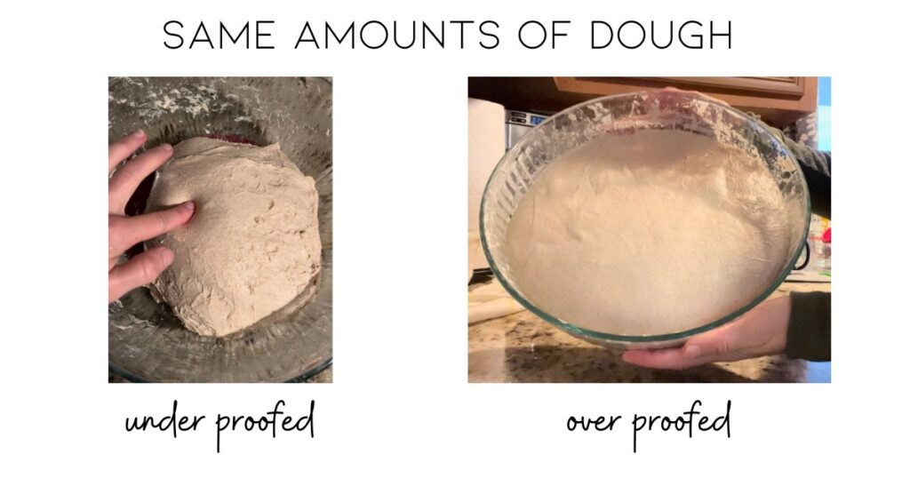 underproof vs over proof sourdough