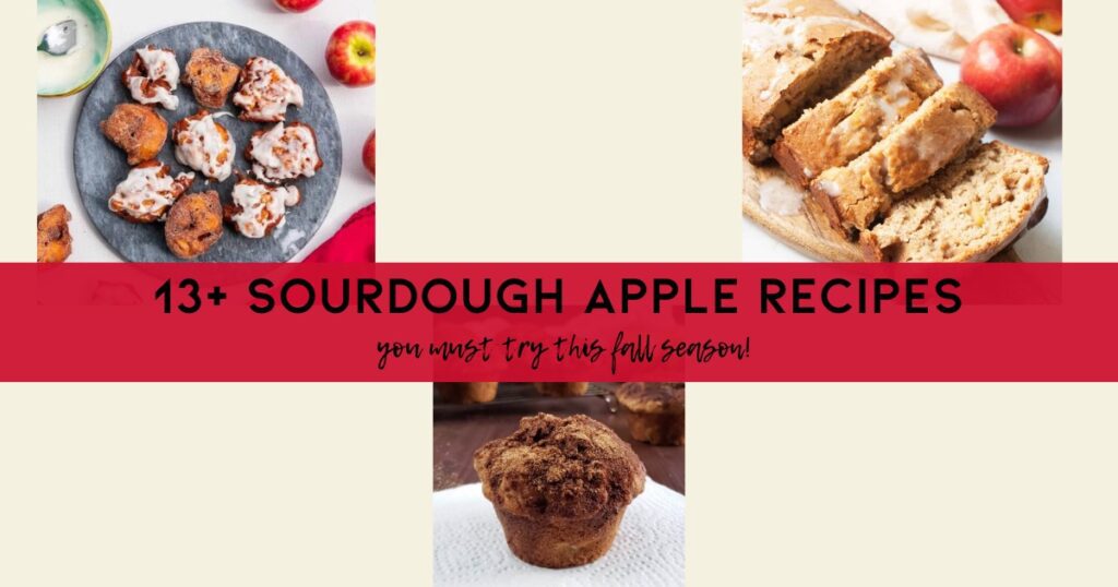 Sourdough apple recipes - 1