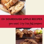 Sourdough apple recipes with description