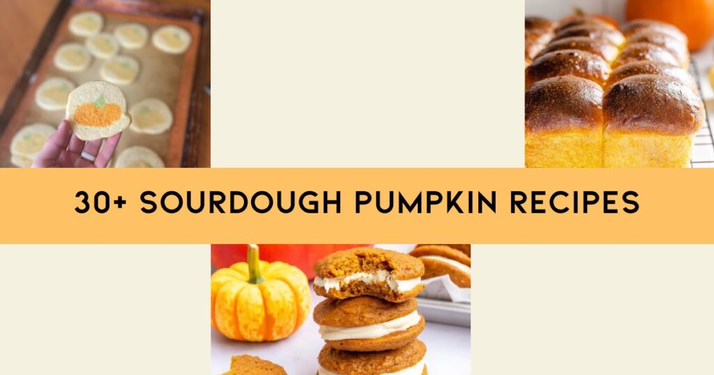 3 pumpkin desserts with text in the middle