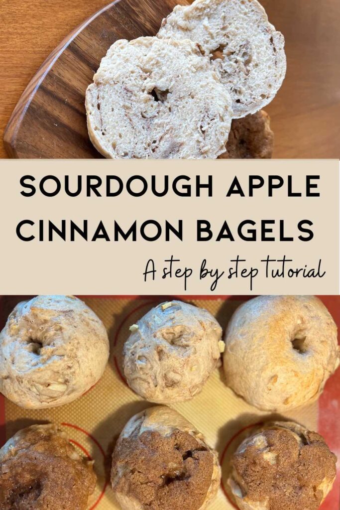 apple cinnamon sourdough bagel pin