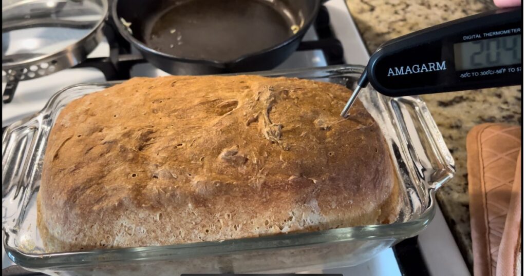 temp check english muffin bread