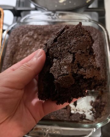 sourdough brownies cocoa powder slice in hand