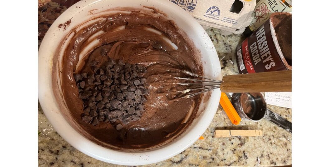 sourdough discard brownies with chocolate chips