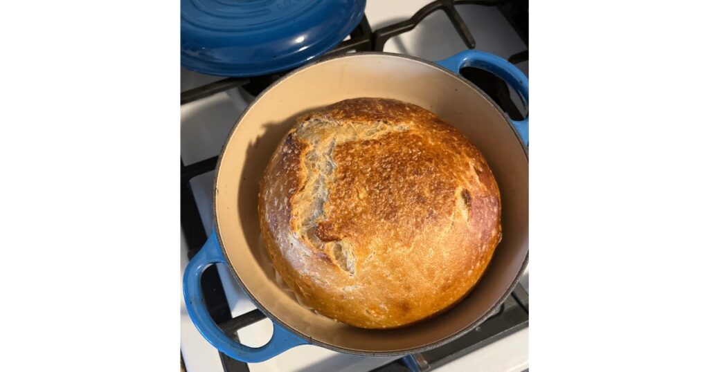 sourdough cooking in le crueset 