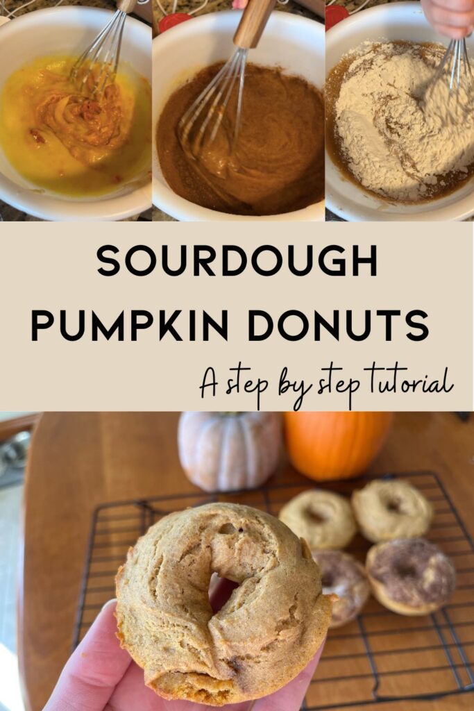 sourdough pumpkin donuts pin