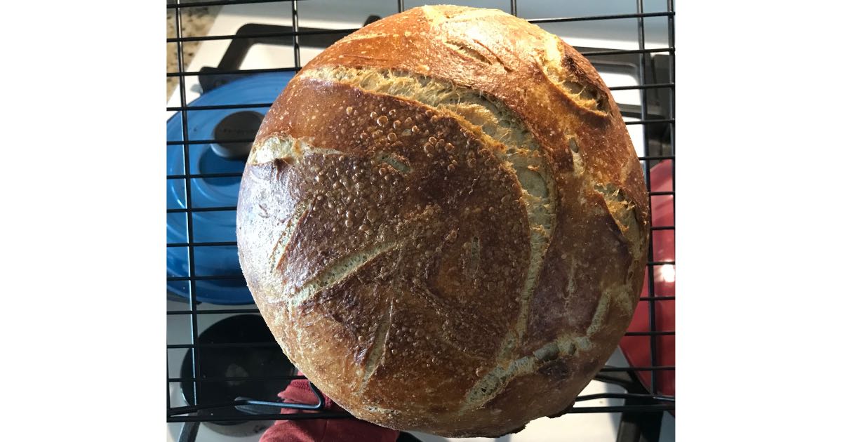 sourdough bread