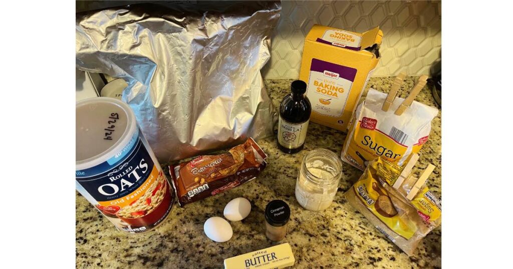 sourdough lactation cookie ingredients on counter