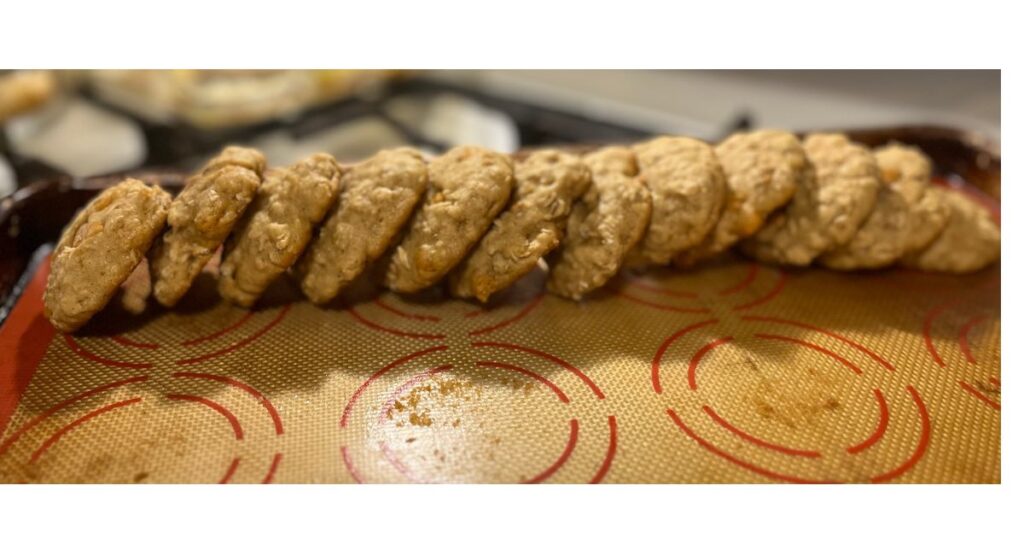 sourdough butterscotch lactation cookies in a row