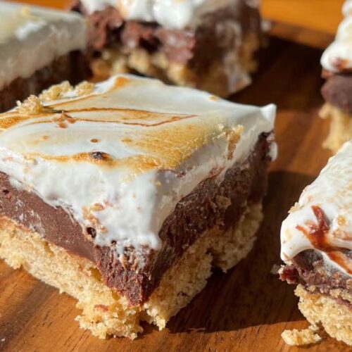 s'mores fudge bars