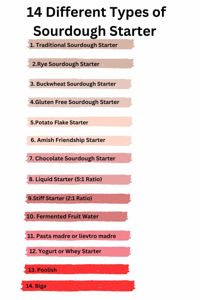 Sourdough starter types in list format