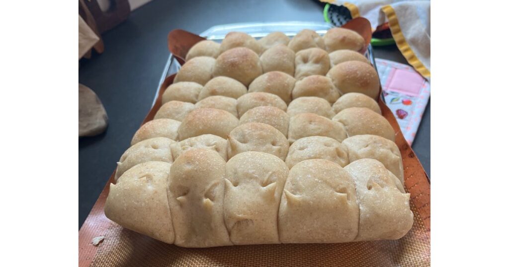 sourdough fat cat rolls