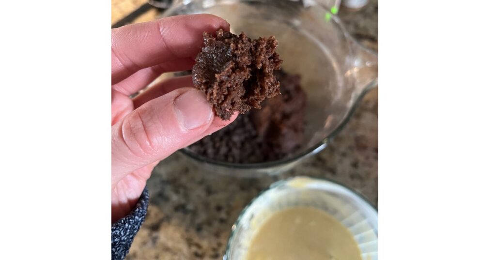 fermented chocolate dough