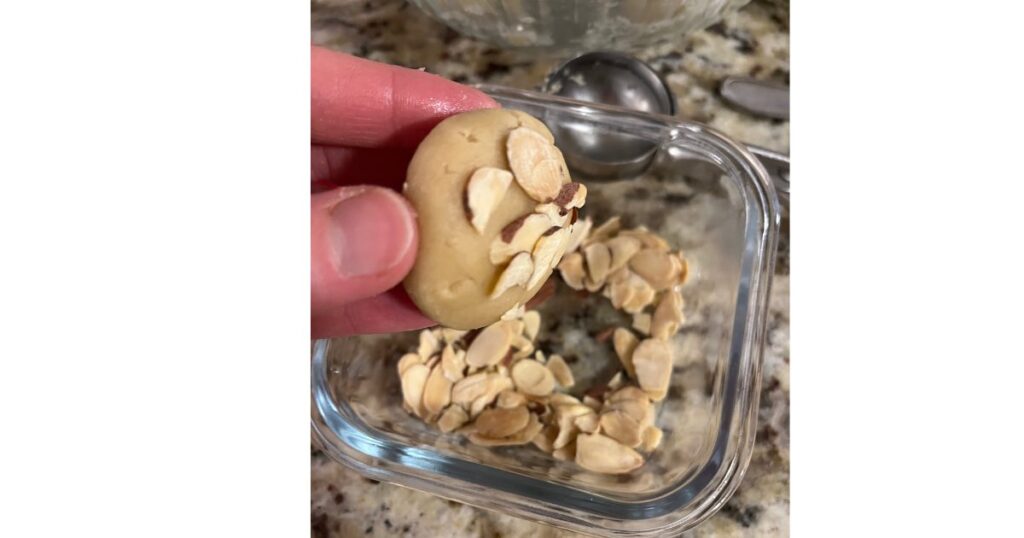 toasted almond cookie